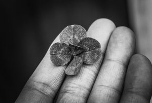 nạp tiền nhanh F8bet